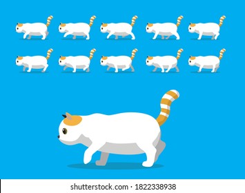 Animal Animation Sequence Exotic Shorthair Cat Cartoon Vector