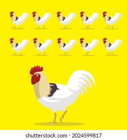 Animal Animation Sequence Golden Comet Rooster Cartoon Vector