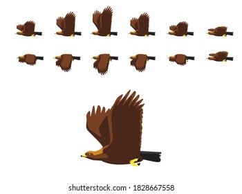 Animal Animation Sequence Golden Eagle Flying Cartoon Vector