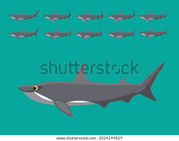Animal\
Animation Sequence Hammerhead Shark Cartoon\
Vector