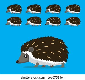 Animal Animation Sequence Hedgehog Walking Cartoon Vector