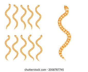 Animal Animation Sequence Hognose Snake Cartoon Vector