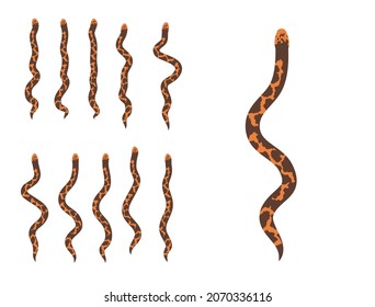 Tieranimationssequenz Kenyan Sand Boa Cartoon Vektor