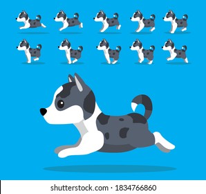 Animal Animation Sequence Koolie Cartoon Vector