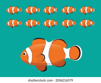 Animal Animation Sequence Ocellaris Clownfish Swimming Cartoon Vector