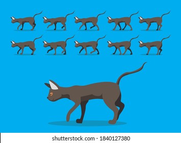 Animal Animation Sequence Peterbald Cartoon Vector