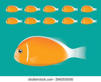 Animal Animation Sequence Pink Anemonefish Swimming Cartoon Vector