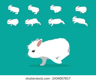 Animal Animation Sequence Rabbit Angora Cartoon Vector