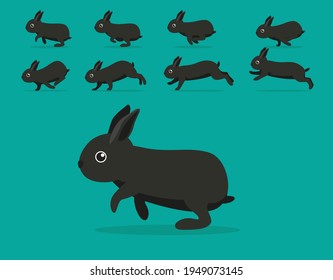 Animal Animation Sequence Rabbit Mini Satin Cartoon Vector