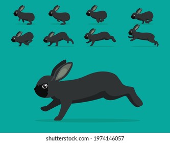 Animal Animation Sequence Rabbit Silver Fox Cartoon Vector