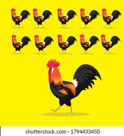 Animal Animation Sequence Rooster Chicken Cartoon Vector