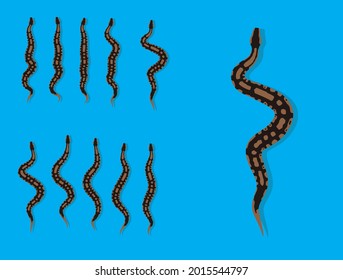 Animal Animation Sequence Royal Python Cartoon Vector