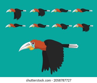Animal Animation Sequence Rufous Necked Hornbill Flying Cartoon Vector