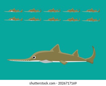 Animal Animation Sequence Sawshark Cartoon Vector