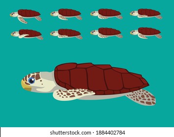 Animal Animation Sequence Sea Turtle Loggerhead Cartoon Vector