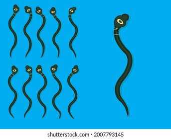 Animal Animation Sequence Spectacled Cobra Snake Cartoon Vector