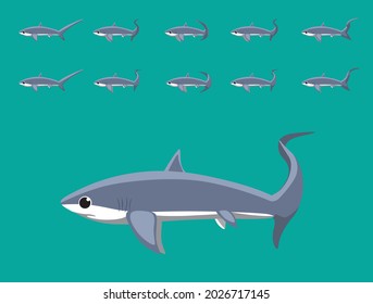 Animal Animation Sequence Thresher Shark Cartoon Vector