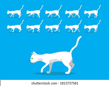 Animal Animation Sequence White Cat Sphynx Cartoon Vector