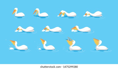 Animal Animation Sequence Whiye Pelican Eating Cartoon Vector