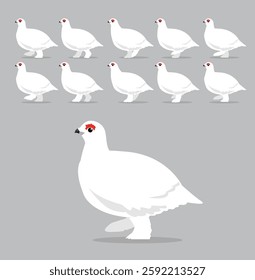 Animal Animation Sequence Willow Ptarmigan Cartoon Vector