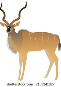 animal antelope with horn vector 