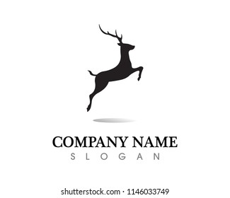 animal antler and deer vector design

