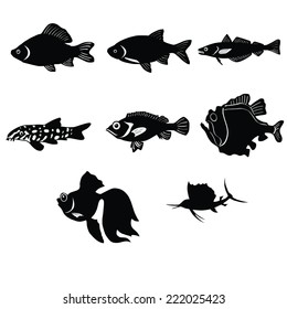 animal, aqua