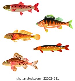 animal, aqua, aquarium