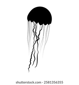 animal, aquatic,  jellyfish silhouette, jellyfish vector, 