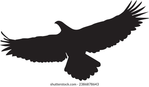 animal, art, background, beak, bird, black, design, eagle, falcon, feather, fly, freedom, hawk, icon, illustration, isolated, nature, predator, silhouette, symbol, white, wild, wildlife, wing, agility