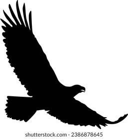 animal, art, background, beak, bird, black, design, eagle, falcon, feather, fly, freedom, hawk, icon, illustration, isolated, nature, predator, silhouette, symbol, white, wild, wildlife, wing, agility