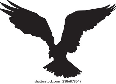 animal, art, background, beak, bird, black, design, eagle, falcon, feather, fly, freedom, hawk, icon, illustration, isolated, nature, predator, silhouette, symbol, white, wild, wildlife, wing, agility