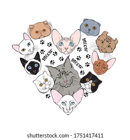 Animal art background with cats of different breeds. Hand-drawn vector illustration on white. Heart shaped illustration.