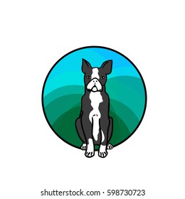 Animal art, cute cartoon style, hand drawn vector illustration. Boston Terrier, dog breed, cartoon style