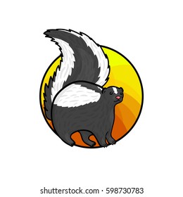 Animal art, cute cartoon style, hand drawn vector illustration. Cute furry skunk, cartoon style