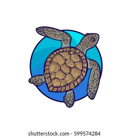 Animal art, cute cartoon style, hand drawn vector illustration. Green sea turtle living in Pacific ocean, cartoon style