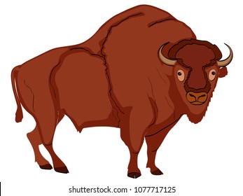 Animal artiodactyl, bison, cow vector. Comic book style imitation, object on white background.