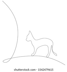Animal background with cute cat, vector illustration