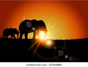 Animal background of elephant when sunset. Vector
