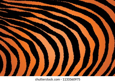 Animal Background Pattern Texture Tiger Orange Stripe Black Jungle Safari, Zebra Skin Background, Leopard Skin Texture
