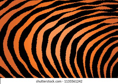 Animal Background Pattern Texture Tiger Orange Stripe Black Jungle Safari, Zebra Skin Background, Leopard Skin Texture