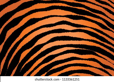 Animal Background Pattern Texture Tiger Orange Stripe Black Jungle Safari, Zebra Skin Background, Leopard Skin Texture
