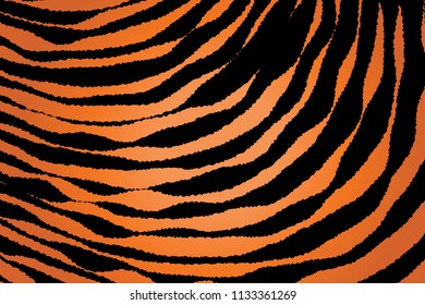 Animal Background Pattern Texture Tiger Orange Stripe Black Jungle Safari, Zebra Skin Background, Leopard Skin Texture