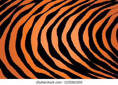 Animal Background Pattern Texture Tiger Orange Stripe Black Jungle Safari, Zebra Skin Background, Leopard Skin Texture
