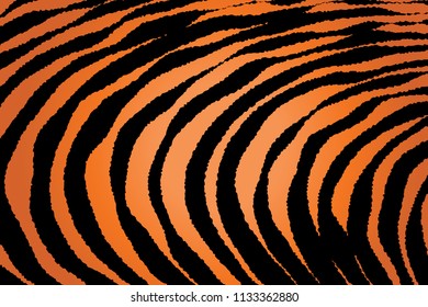 Animal Background Pattern Texture Tiger Orange Stripe Black Jungle Safari, Zebra Skin Background, Leopard Skin Texture