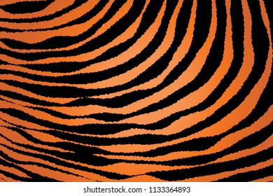 Animal Background Pattern Texture Tiger Orange Stripe Black Jungle Safari, Zebra Skin Background, Leopard Skin Texture