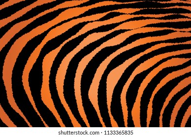 Animal Background Pattern Texture Tiger Orange Stripe Black Jungle Safari, Zebra Skin Background, Leopard Skin Texture