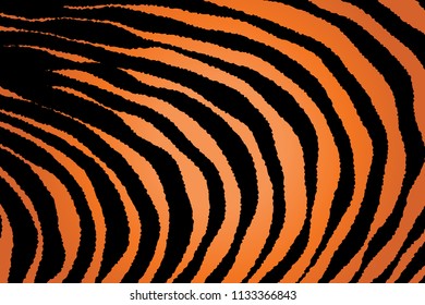 Animal Background Pattern Texture Tiger Orange Stripe Black Jungle Safari, Zebra Skin Background, Leopard Skin Texture