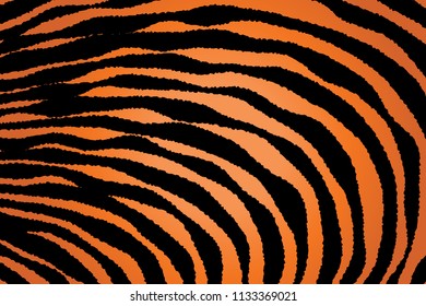 Animal Background Pattern Texture Tiger Orange Stripe Black Jungle Safari, Zebra Skin Background, Leopard Skin Texture