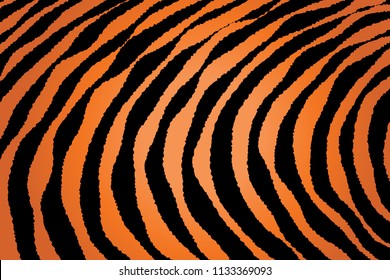 Animal Background Pattern Texture Tiger Orange Stripe Black Jungle Safari, Zebra Skin Background, Leopard Skin Texture